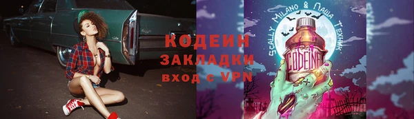 ГАЛЛЮЦИНОГЕННЫЕ ГРИБЫ Абаза
