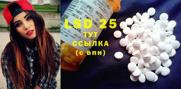 ГАЛЛЮЦИНОГЕННЫЕ ГРИБЫ Абаза