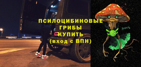 ГАЛЛЮЦИНОГЕННЫЕ ГРИБЫ Абаза
