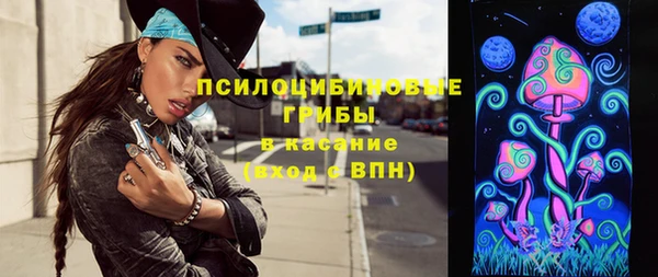 ГАЛЛЮЦИНОГЕННЫЕ ГРИБЫ Абаза